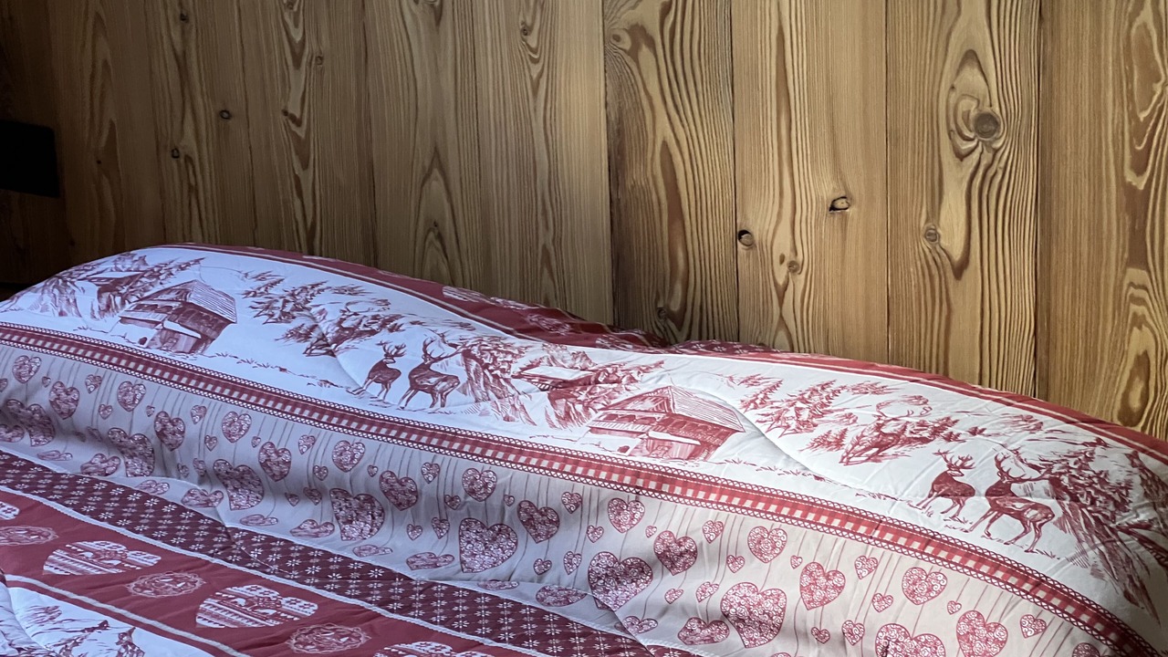 Photo of Bedroom in Pila