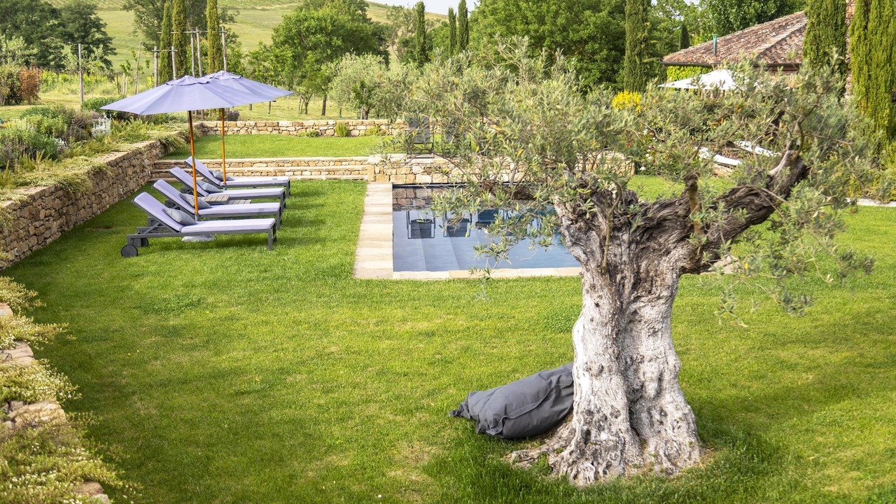Photo of Outdoor in Torrita di Siena