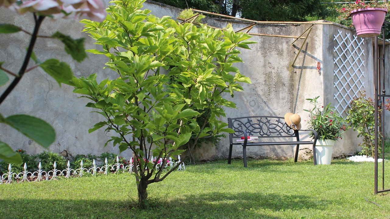 Photo of Outdoor in Cuneo