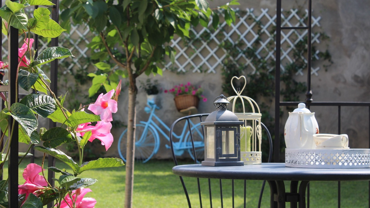 Photo of Outdoor in Cuneo