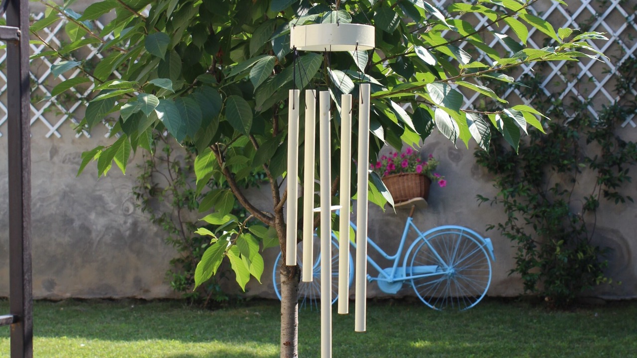 Photo of Outdoor in Cuneo