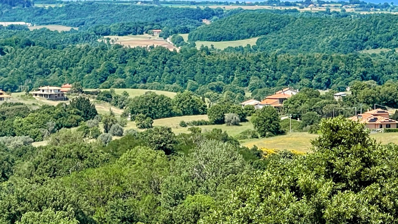 Photo of Others in Montefiascone