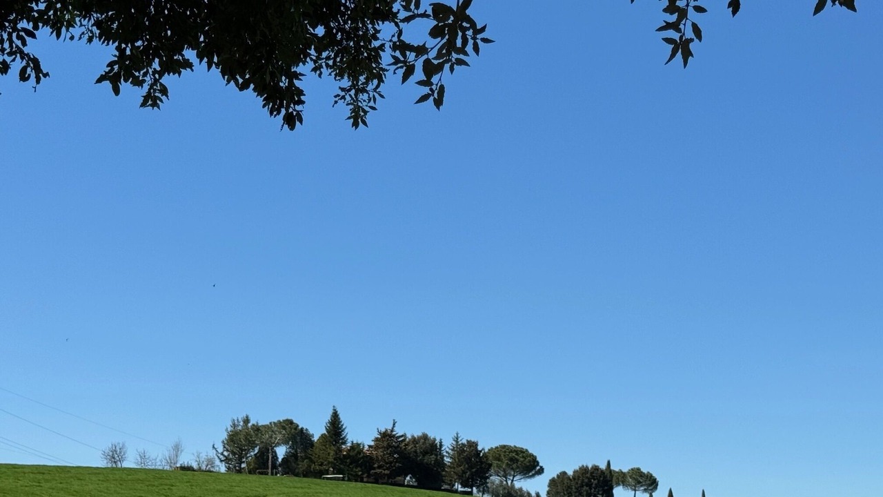 Photo of Others in Corbara