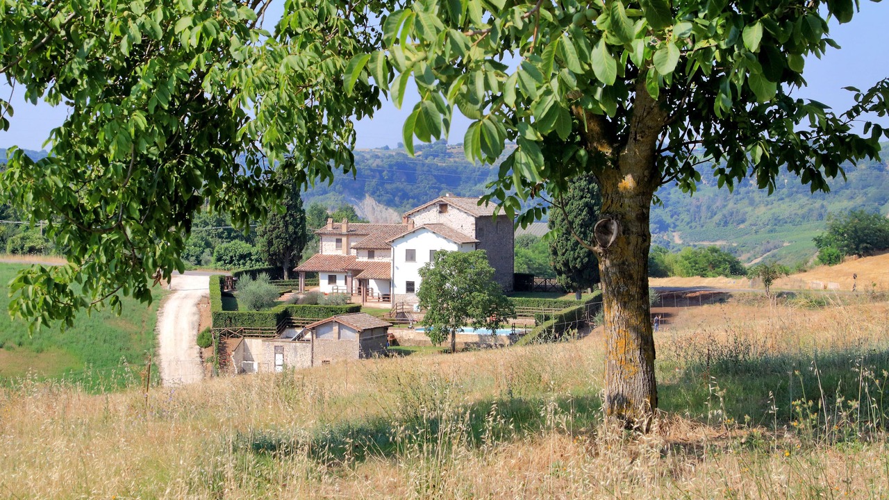 Photo of Outdoor in Corbara