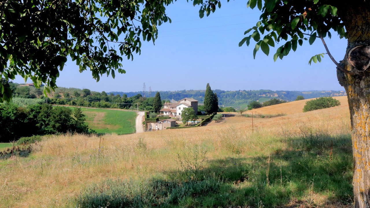 Photo of Outdoor in Corbara