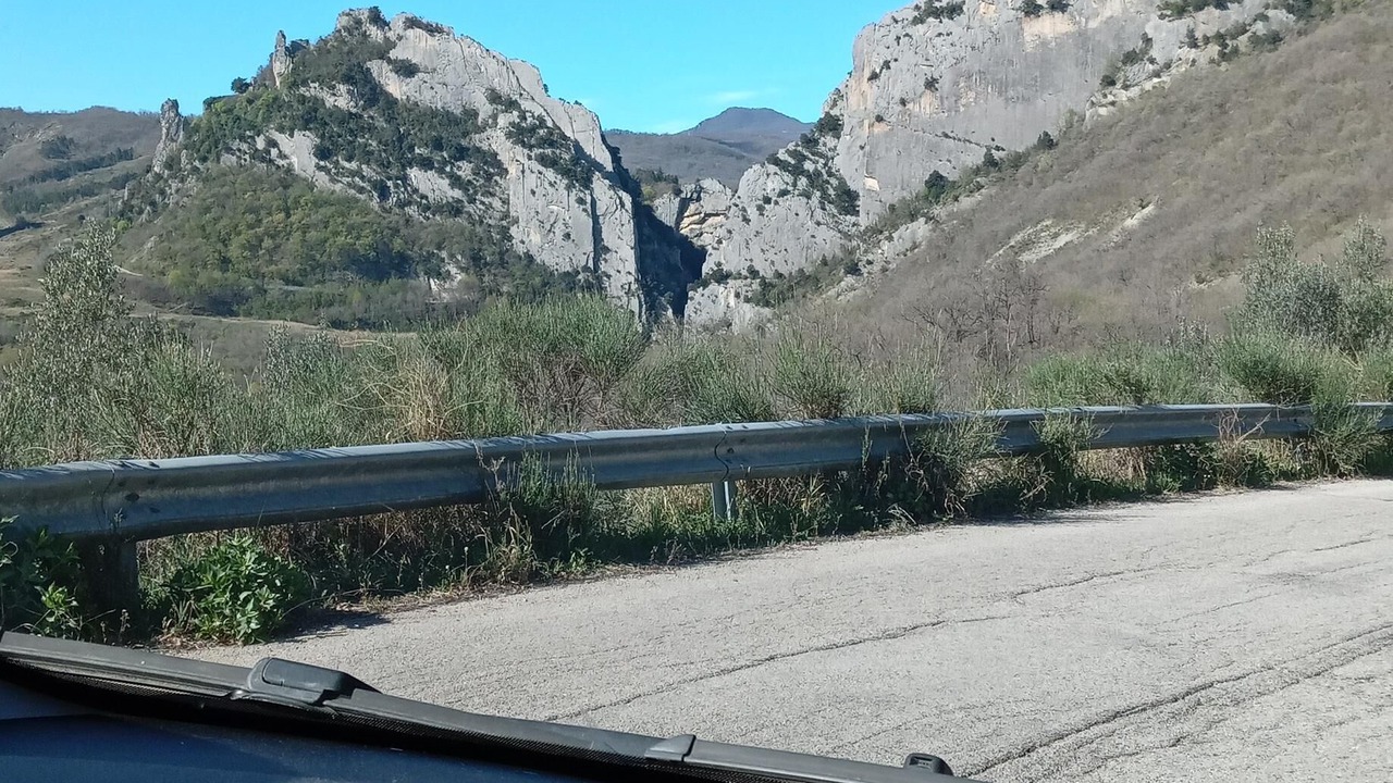 Photo of Others in Pennadomo