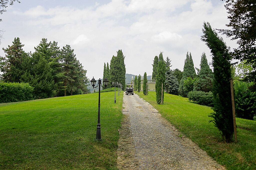 Photo of Outdoor in Canova