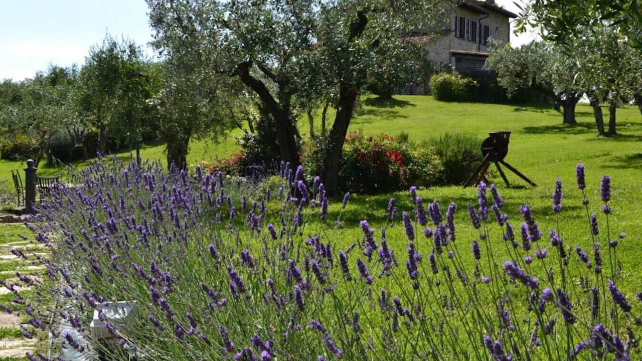 Photo of Outdoor in Collazzone