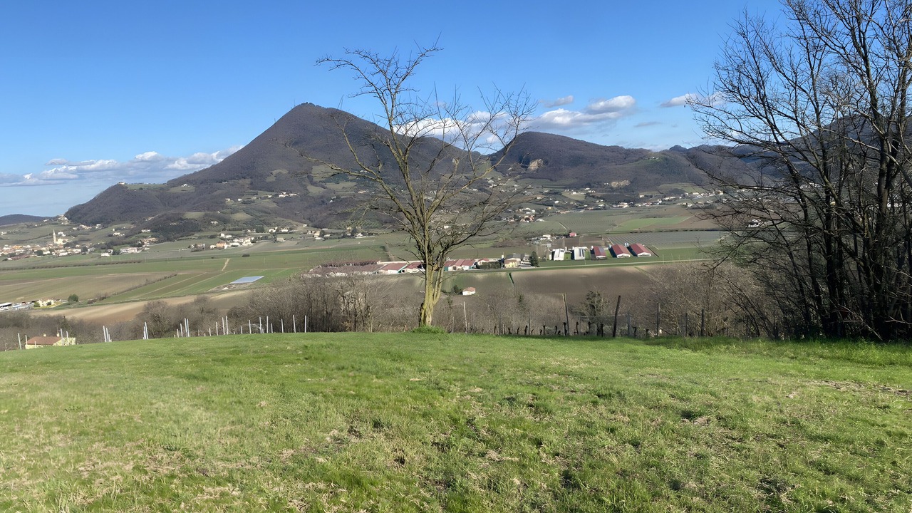 Photo of Others in Albettone