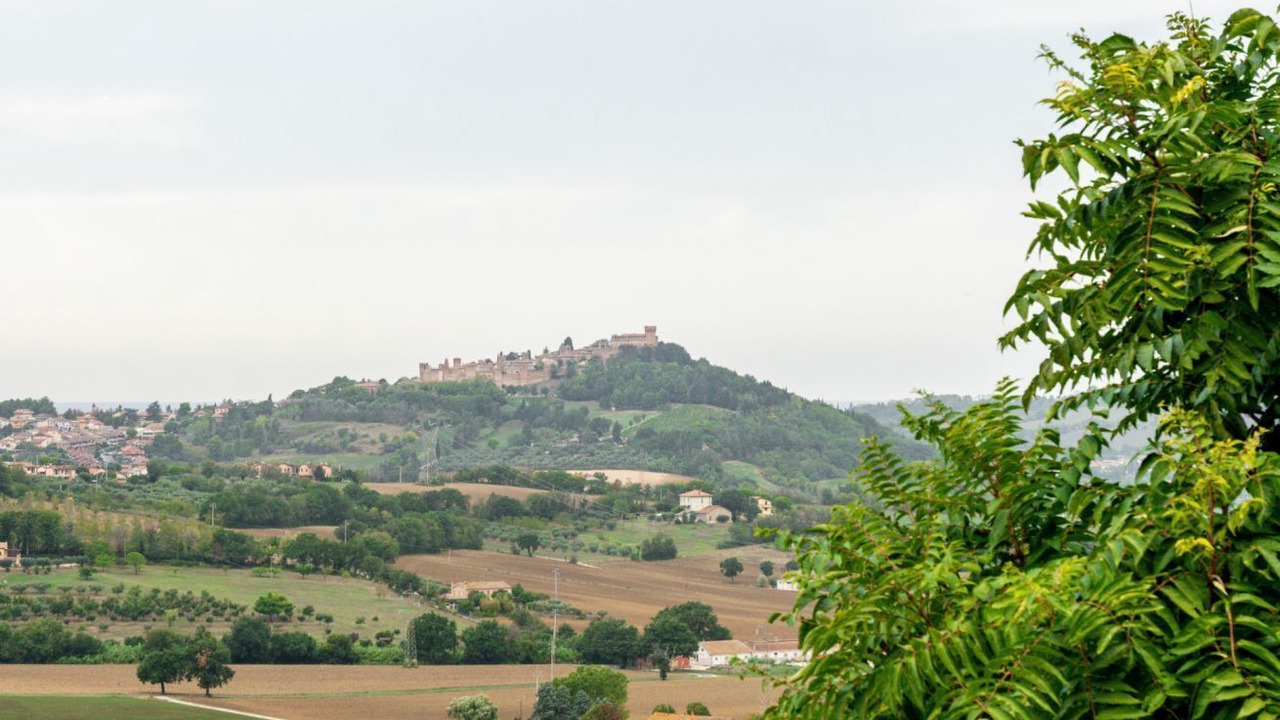 Photo of Others in Granarola