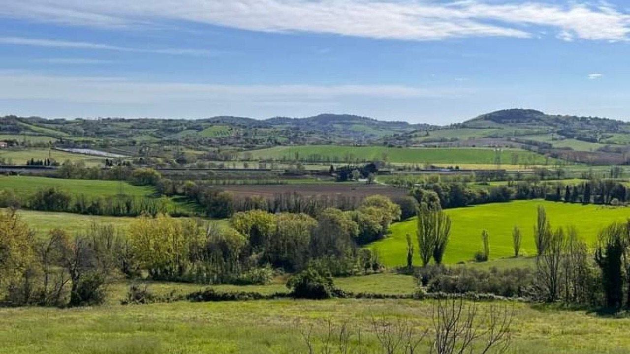 Photo of Others in Granarola