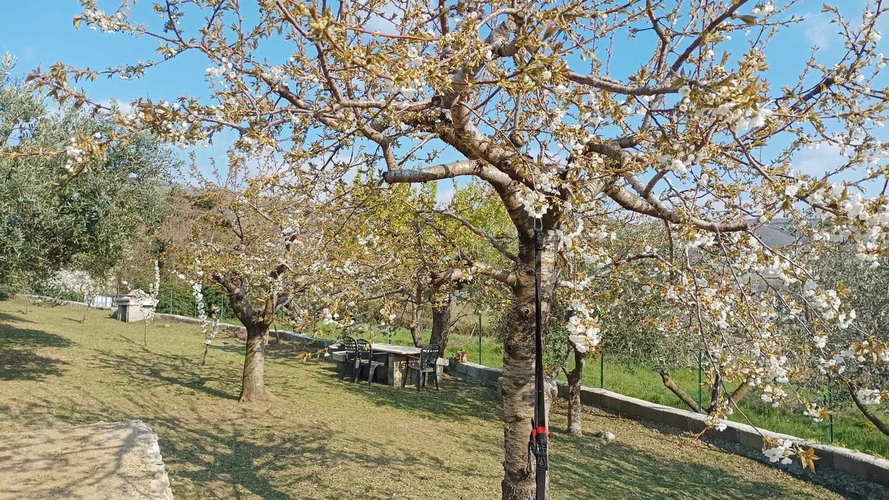 Photo of Outdoor in Sant'Ambrogio di Valpolicella