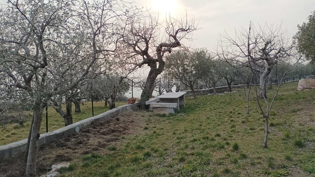 Photo of Outdoor in Sant'Ambrogio di Valpolicella