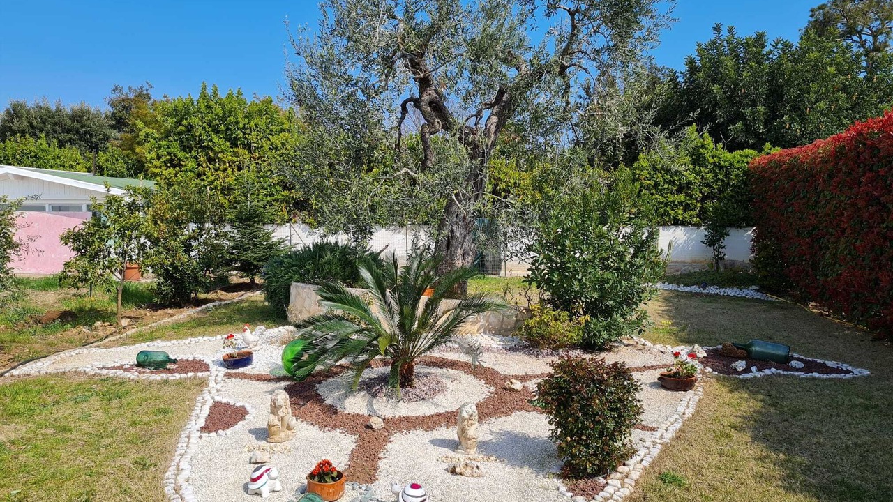 Photo of Outdoor in Bisceglie