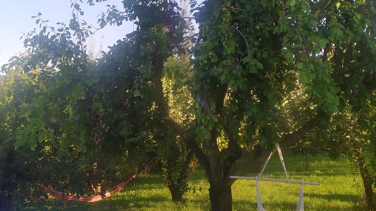Photo of Outdoor in Lauriano