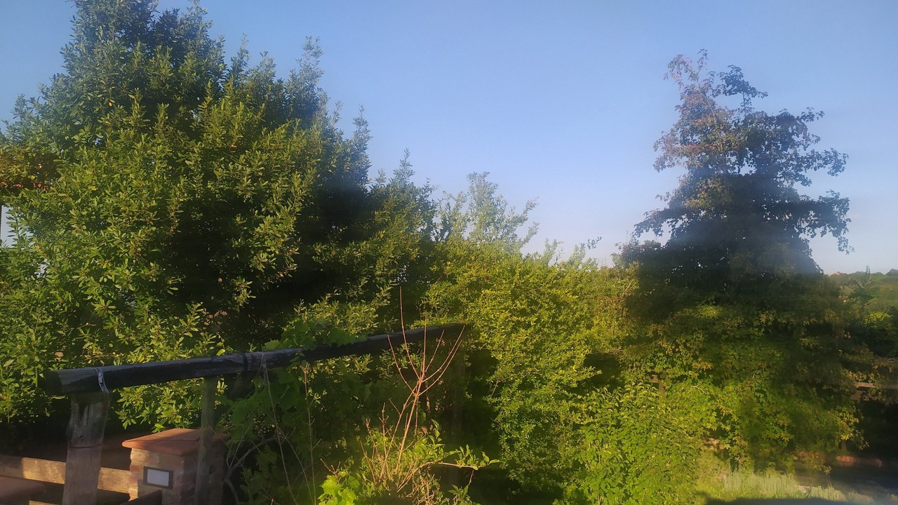Photo of Outdoor in Lauriano