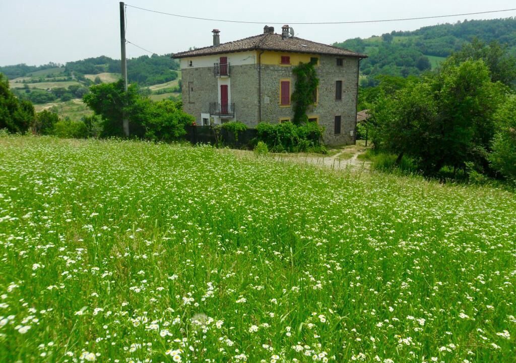 Photo of Outdoor in Vigolzone