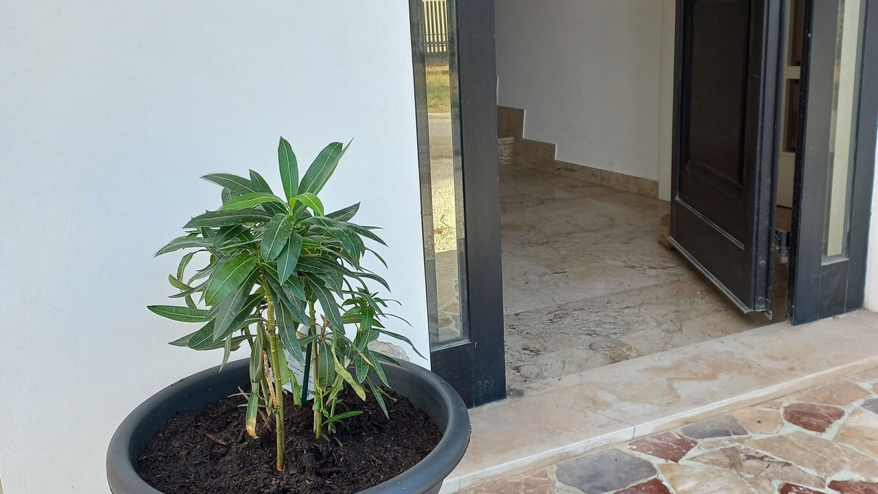 Photo of Outdoor in Montecosaro