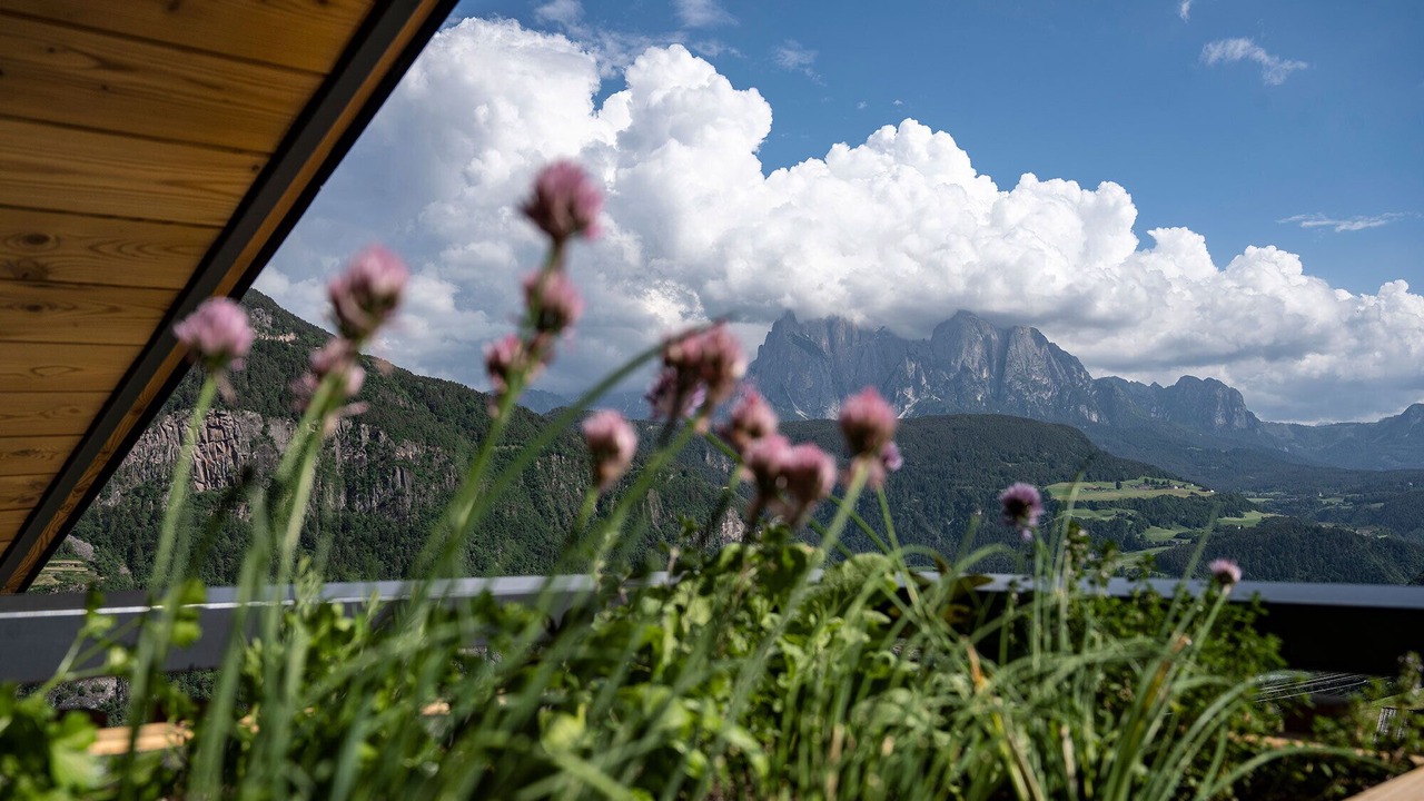 Photo of Outdoor in Barbiano