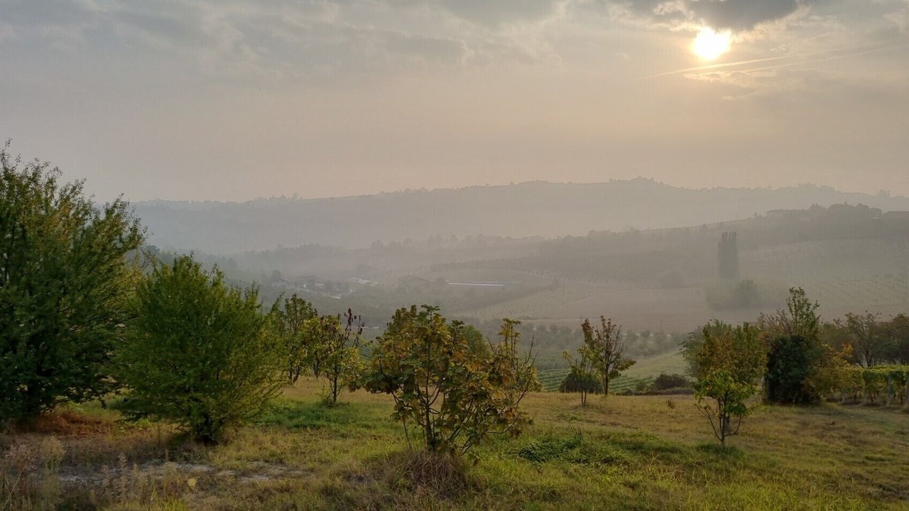 Photo of Outdoor in Costigliole d'Asti
