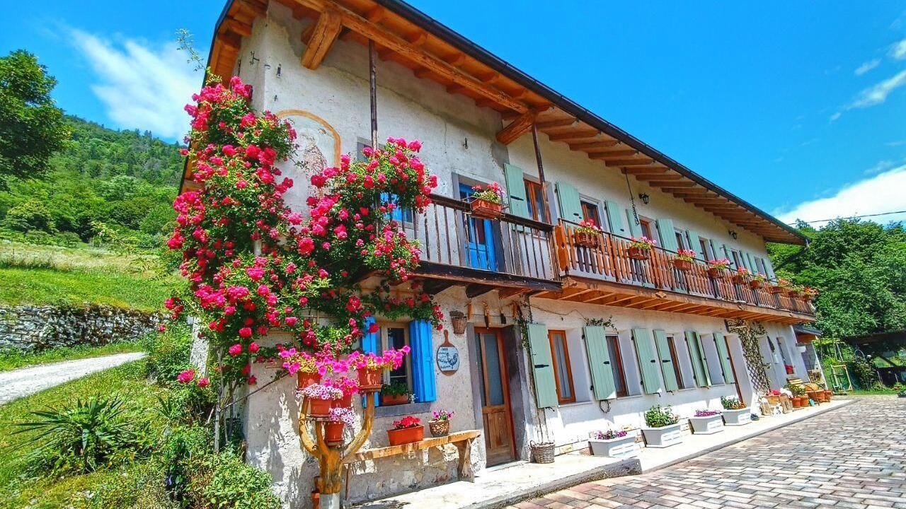 Photo of Outdoor in Pedavena
