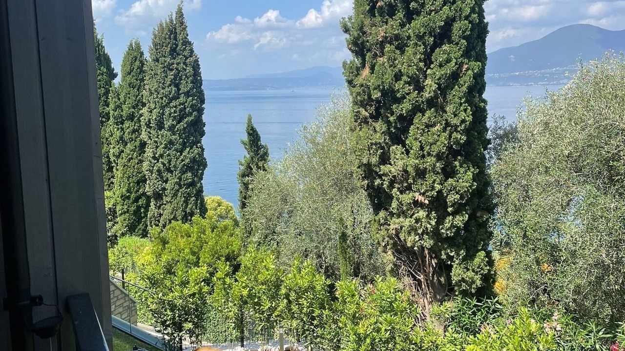 Photo of Outdoor in Torri del Benaco