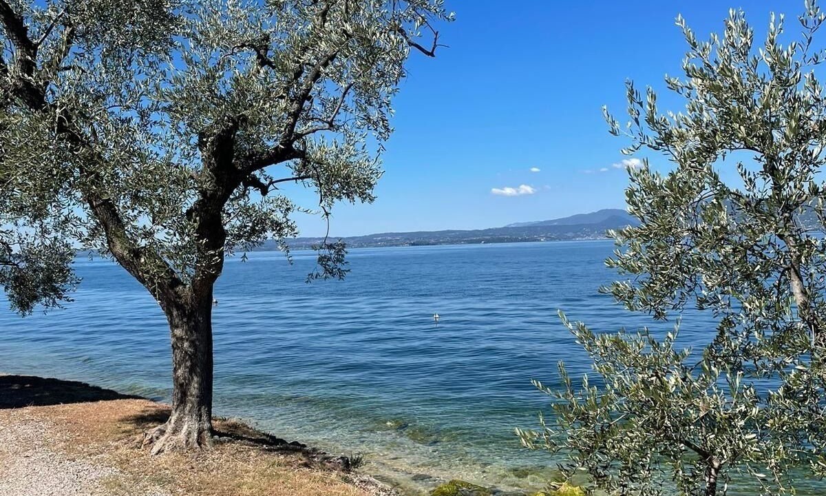 Photo of Others in Torri del Benaco