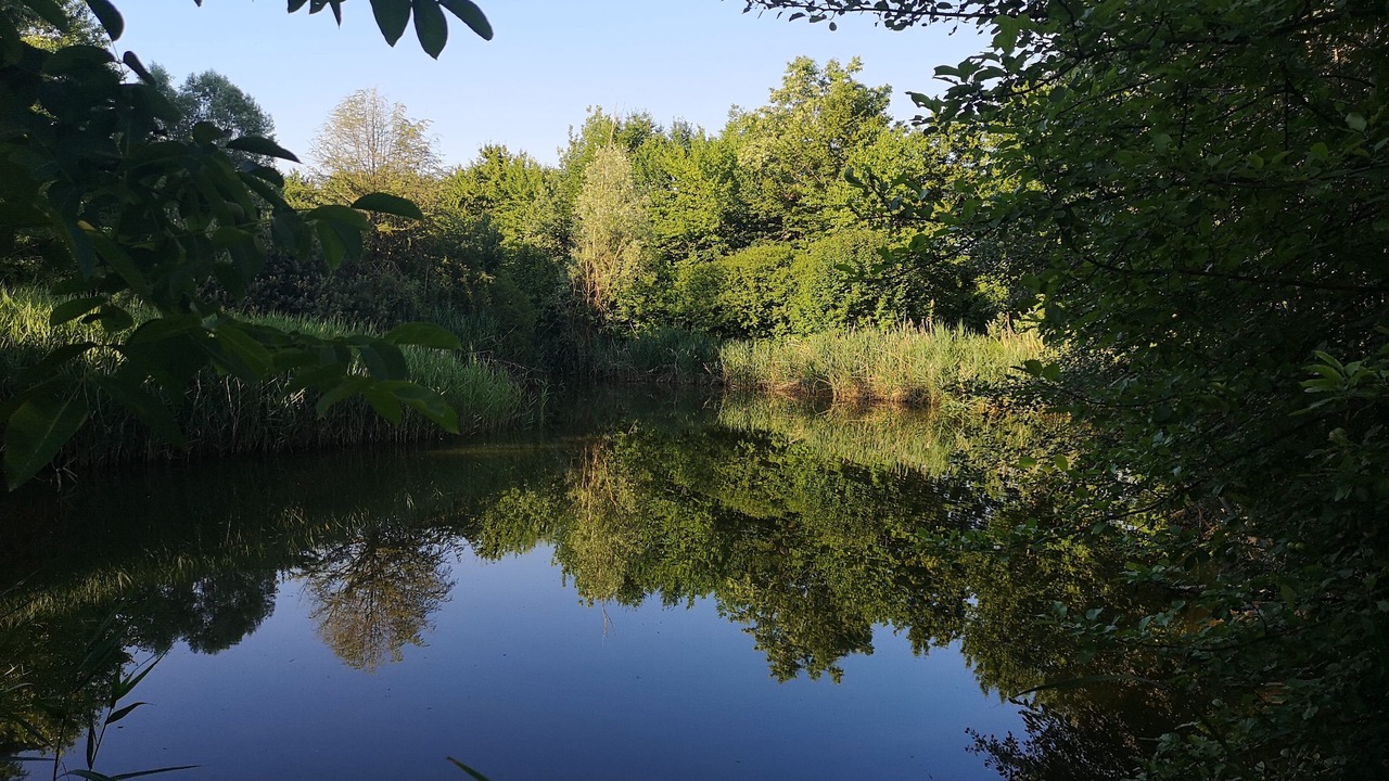 Photo of Outdoor in Torre di Mosto
