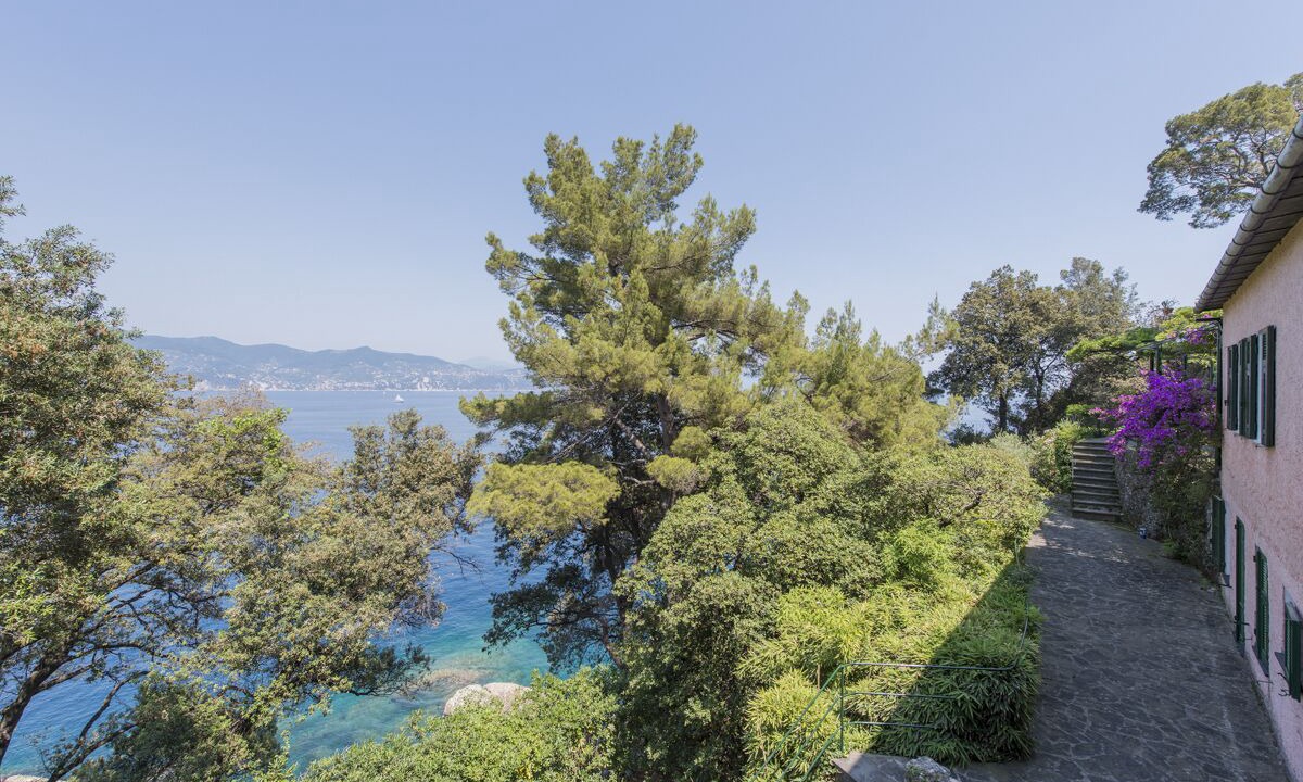 Photo of Others in Portofino
