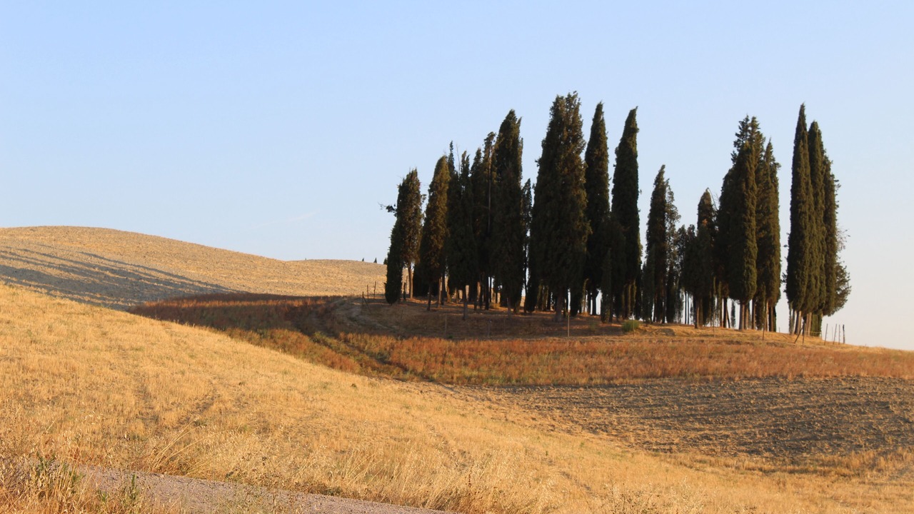 Photo of Others in San Quirico d'Orcia