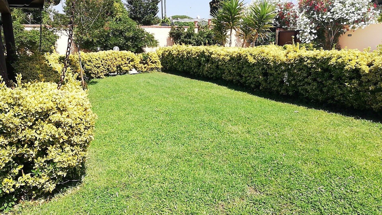 Photo of Outdoor in Latina Lido