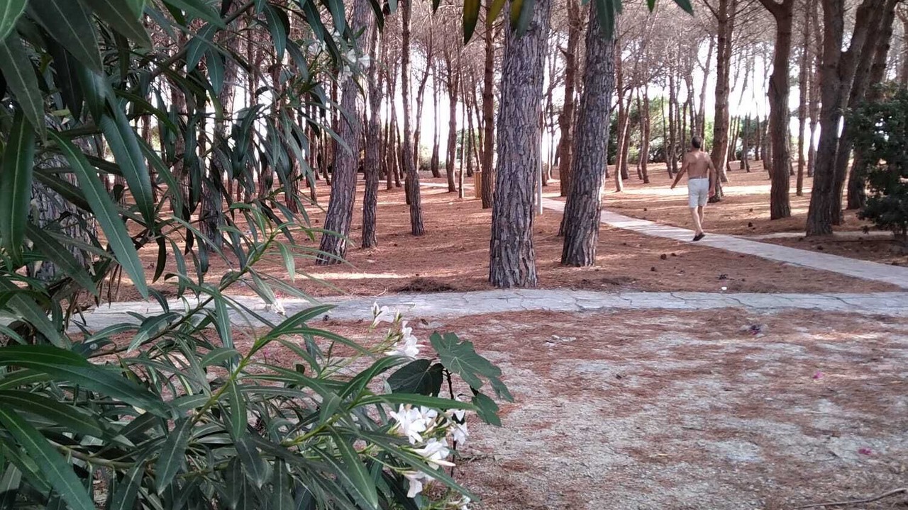 Photo of Outdoor in Capo Rizzuto