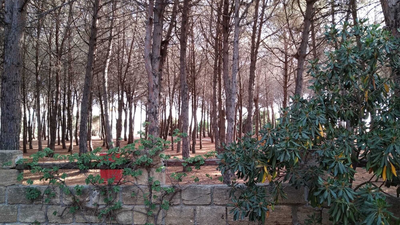 Photo of Outdoor in Capo Rizzuto