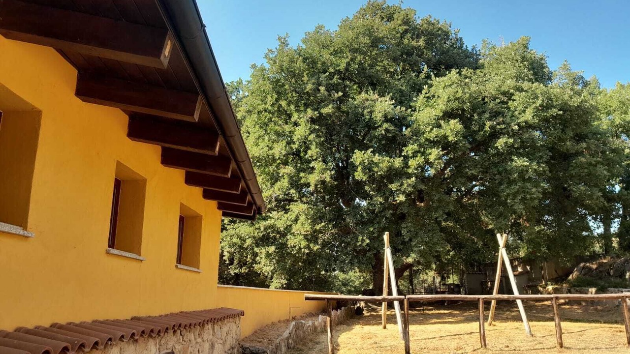Photo of Outdoor in Fonni