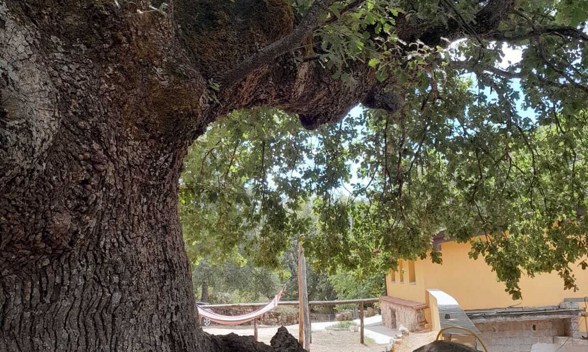 Photo of Outdoor in Fonni