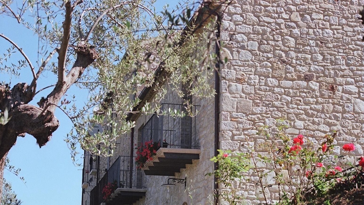 Photo of Outdoor in Bomba
