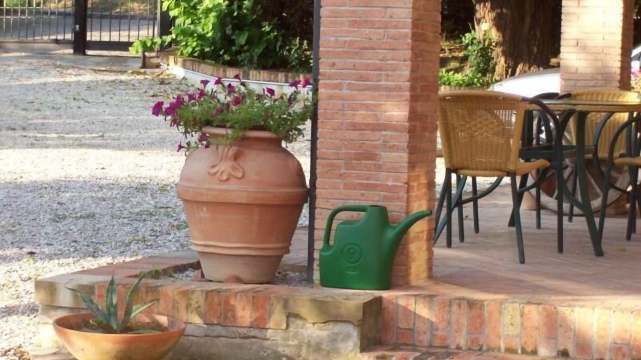 Photo of Outdoor in Morro d'Alba