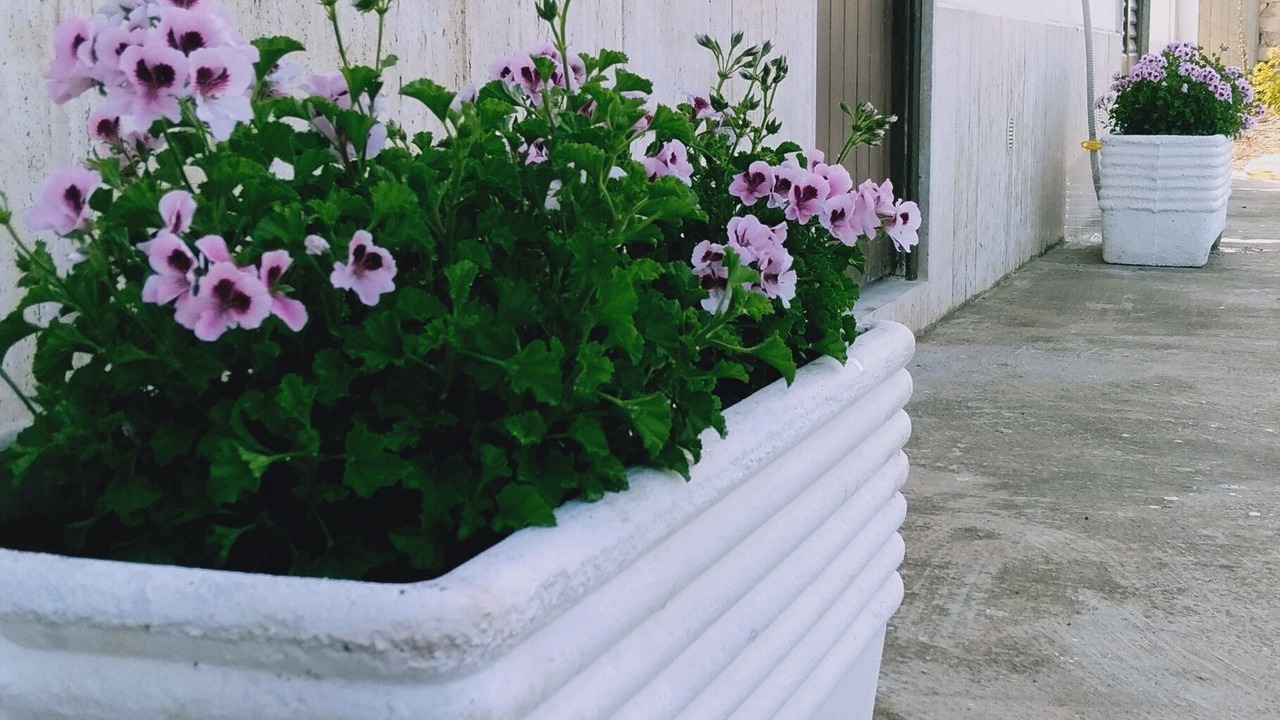 Photo of Outdoor in Birgi Vecchi