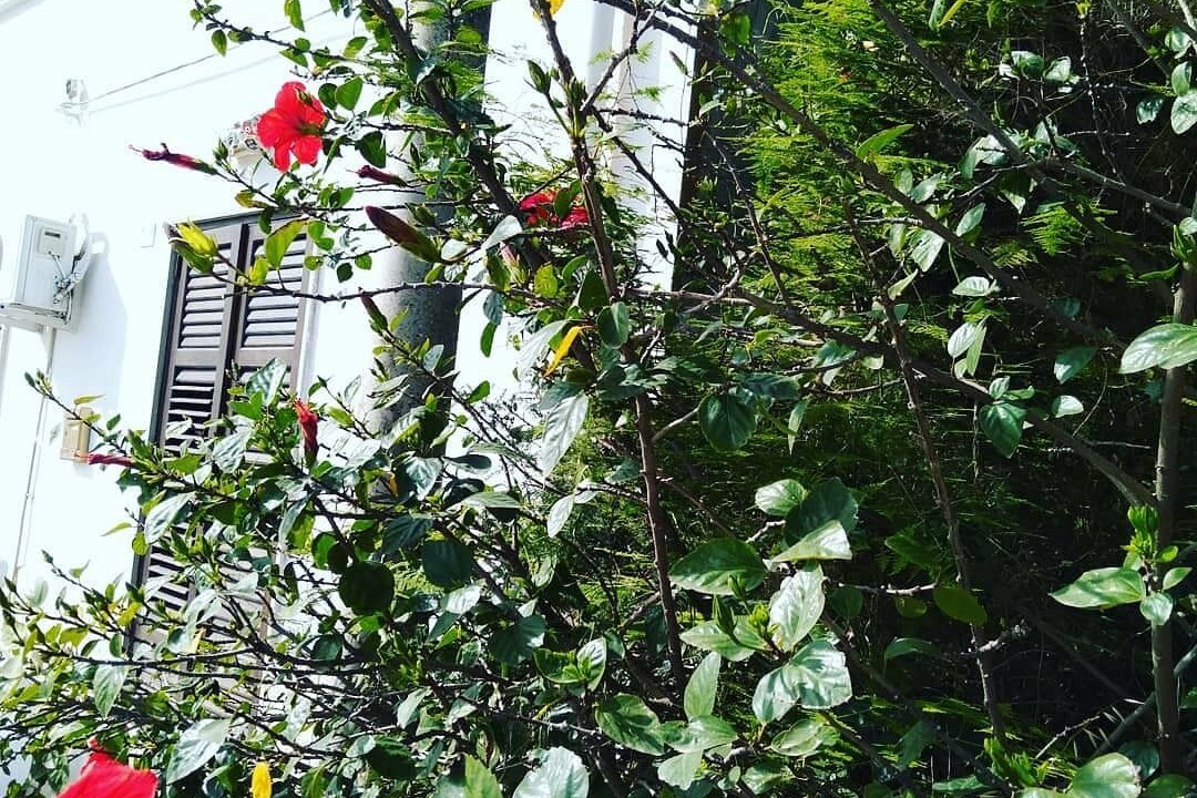 Photo of Outdoor in Birgi Vecchi