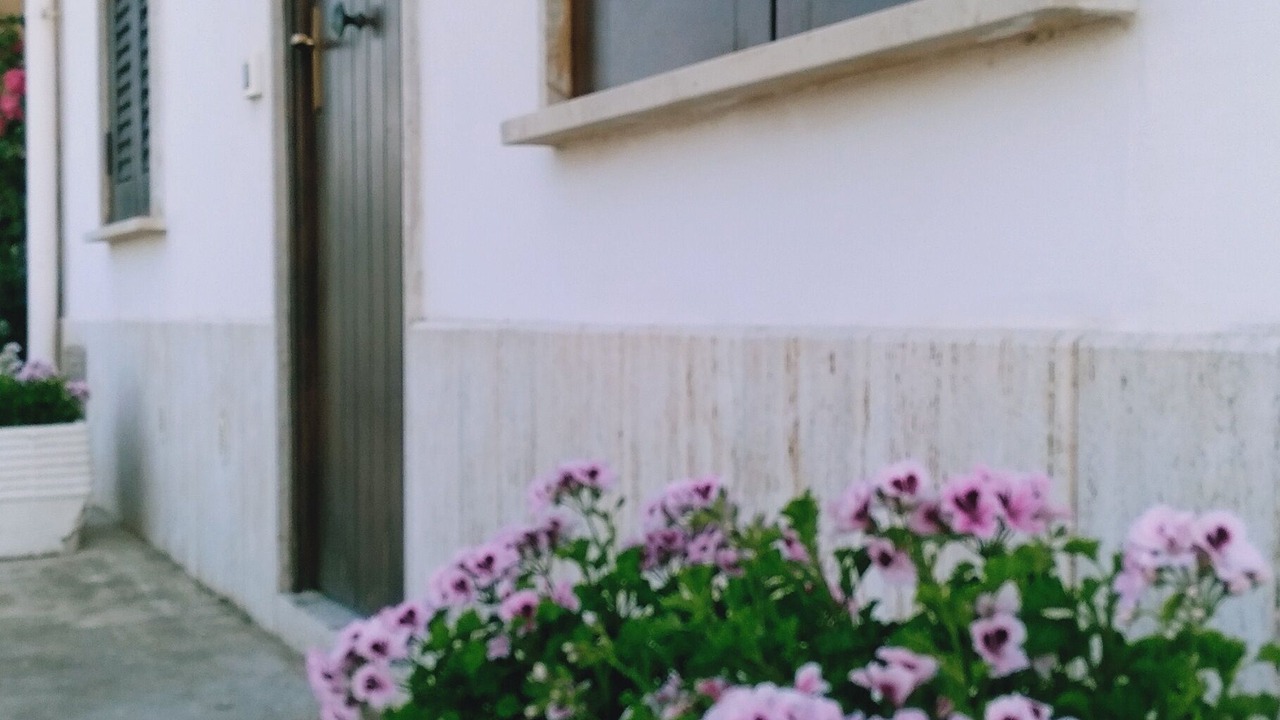 Photo of Outdoor in Birgi Vecchi