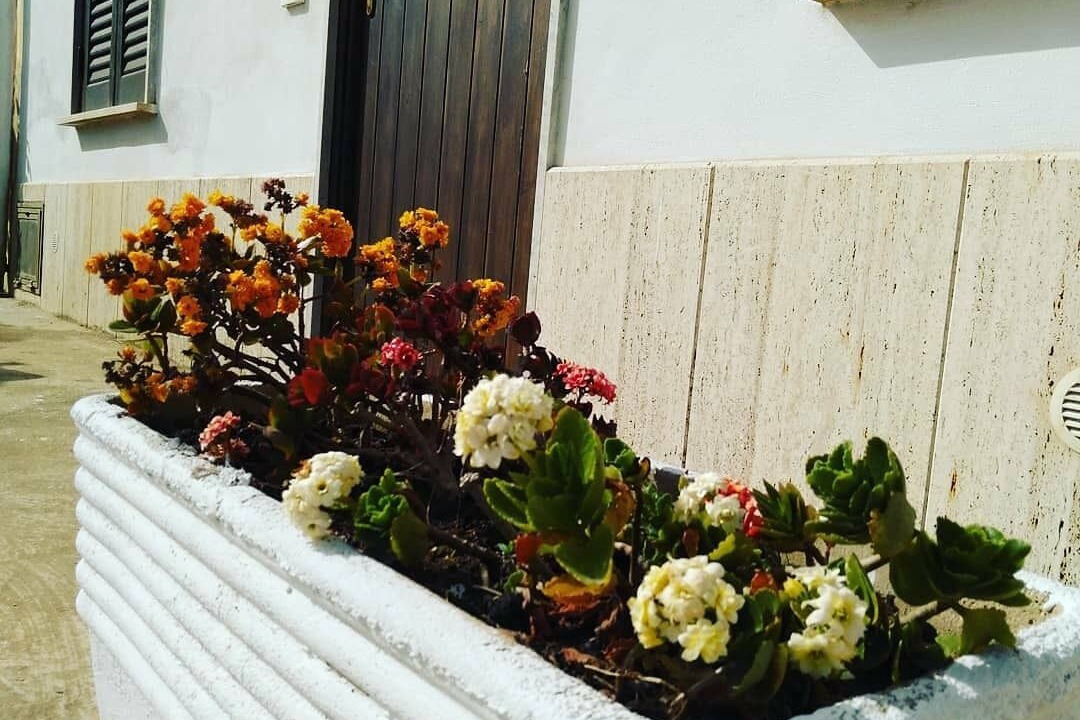 Photo of Outdoor in Birgi Vecchi