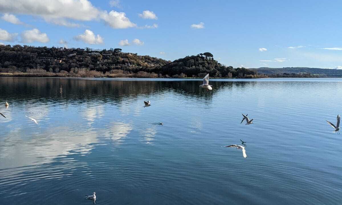 Photo of Others in Lake Bracciano