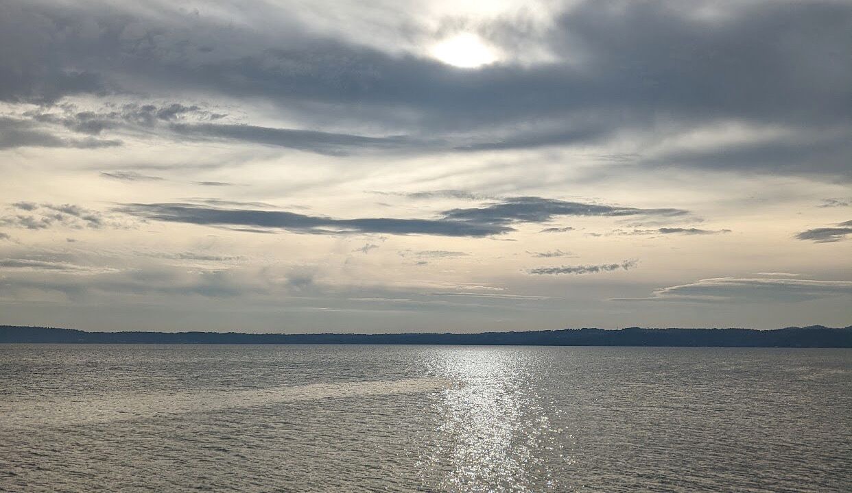 Photo of Others in Lake Bracciano