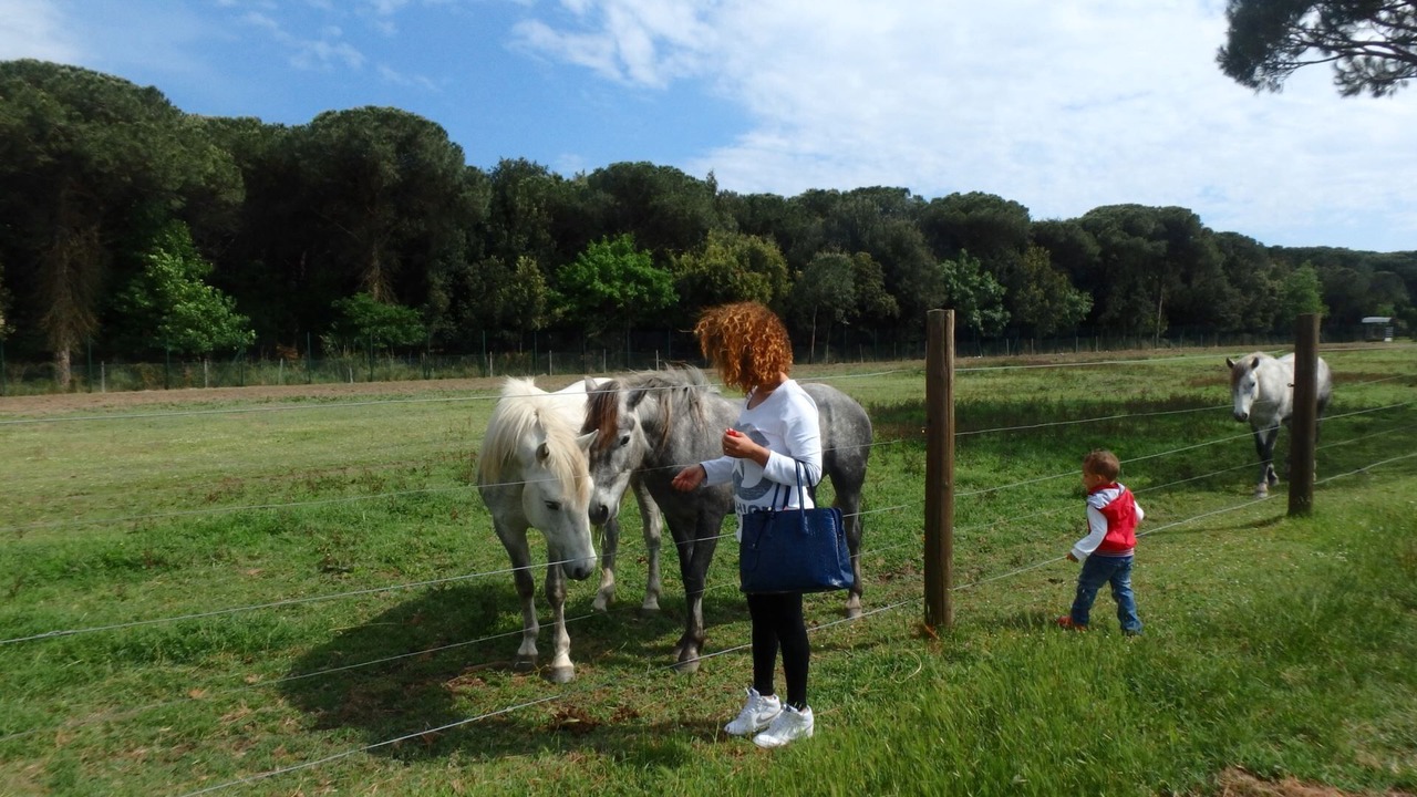 Photo of Others in Lido di Pomposa