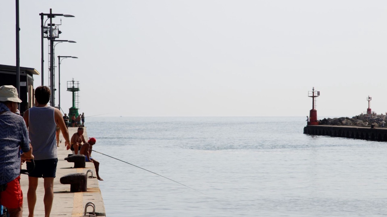 Photo of Others in Lido di Pomposa