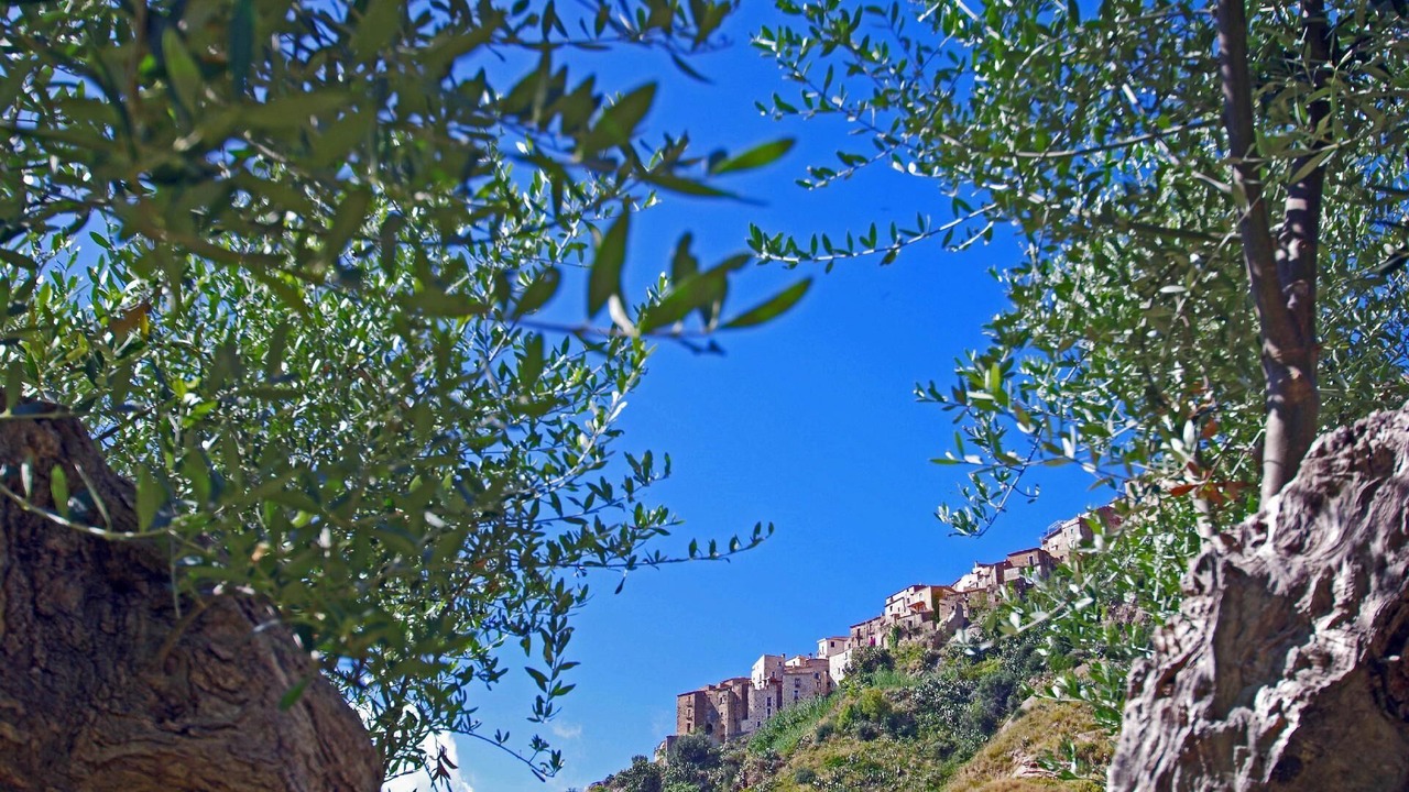 Photo of Others in Belmonte Calabro