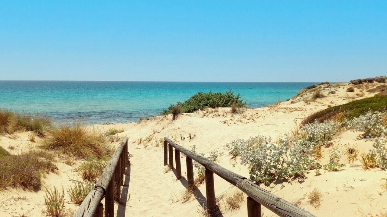 Photo of Others in Torre Ovo