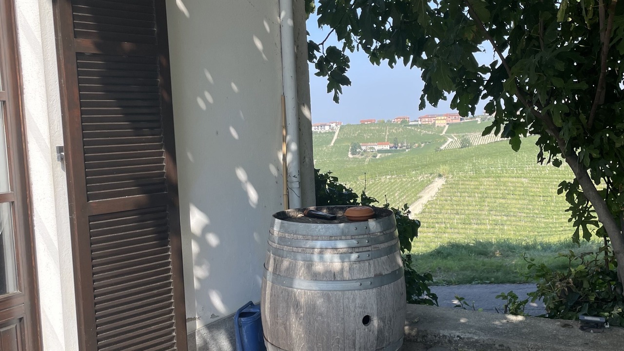 Photo of Patio Balcony in Barbaresco