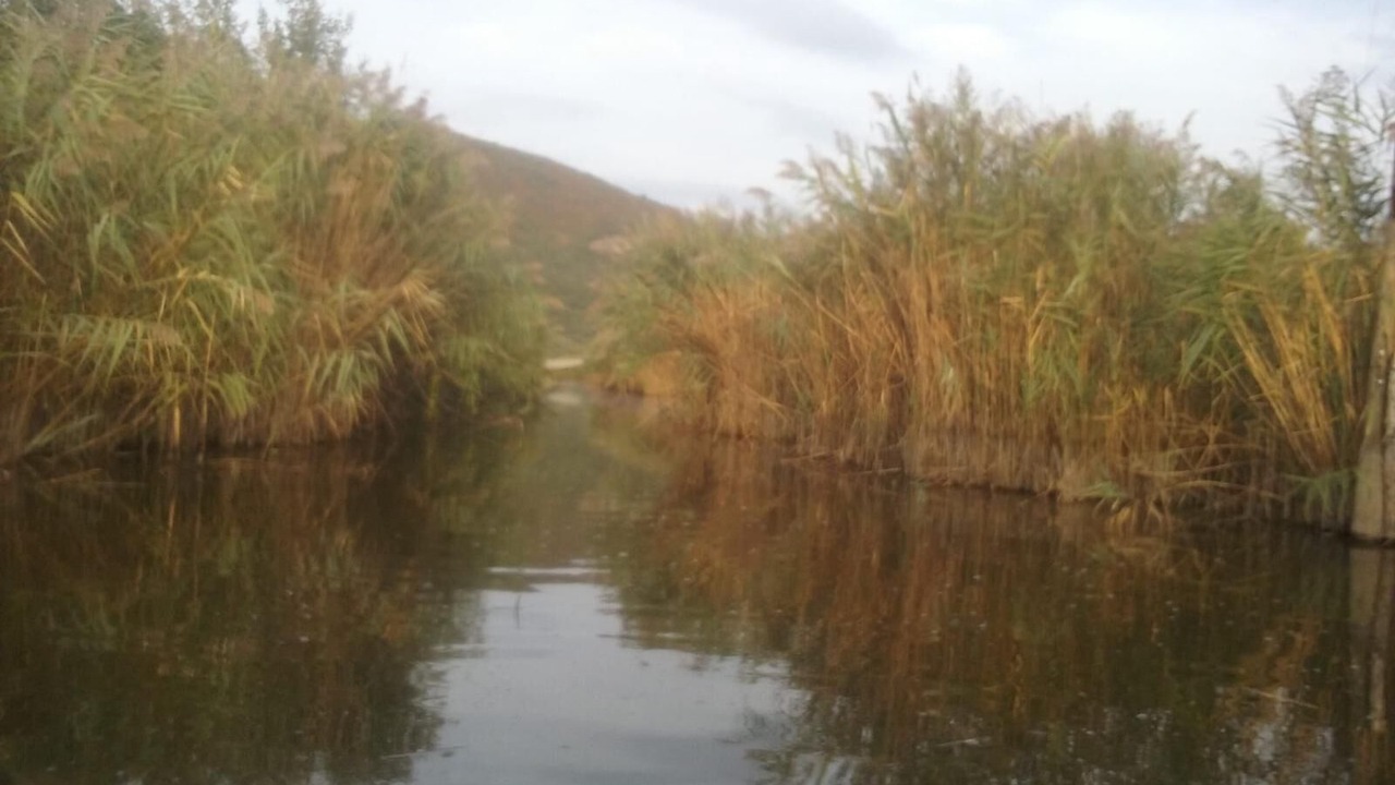 Photo of Outdoor in Massarosa