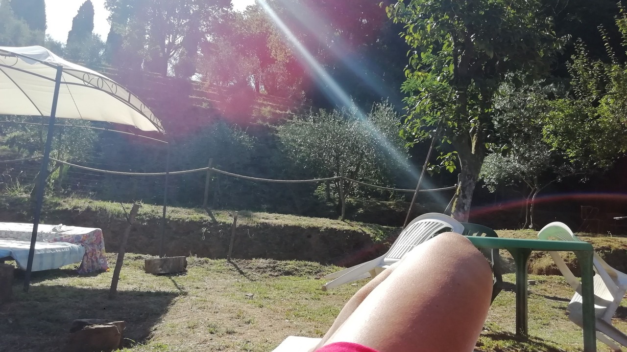 Photo of Outdoor in Massarosa